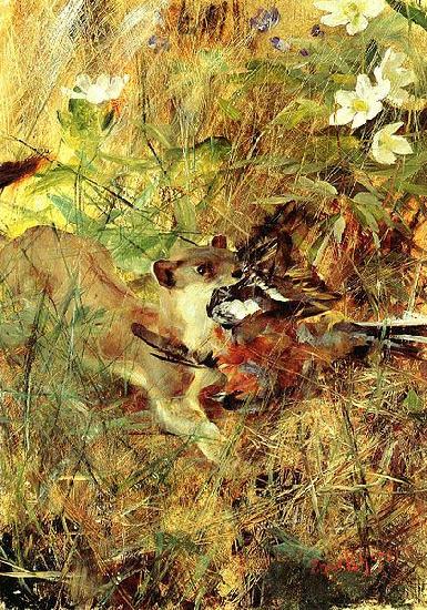 bruno liljefors Weasel with Chaffinch Spain oil painting art